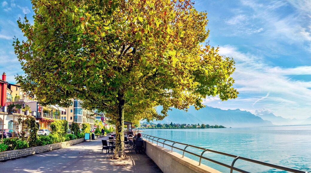 Geneva Lake in Vevey city. Vaud canton, Switzerland