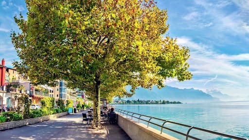 Geneva Lake in Vevey city. Vaud canton, Switzerland