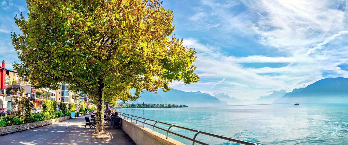 A lakeside promenade with a tree-lined walkway, a distant mountain range, and a calm lake.