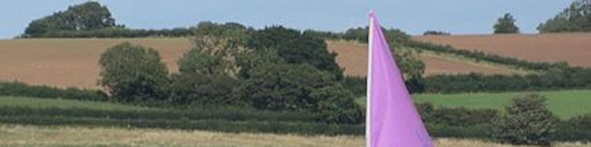 Yellow dinghy with purple sail Taking advantage of the stiff breeze on Chew Valley Lake. Viewed from the anglers' jetty near Woodford Lodge.
