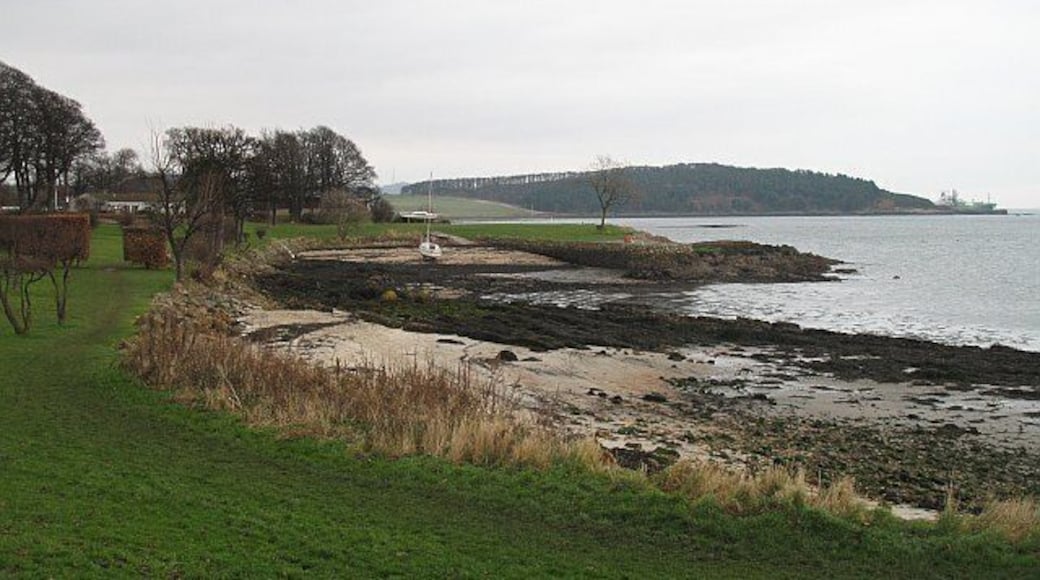 New Harbour beach Grassland as opposed to the bottom of folk's gardens by the shore. A gas carrier is loading up in the distance at Braefoot.