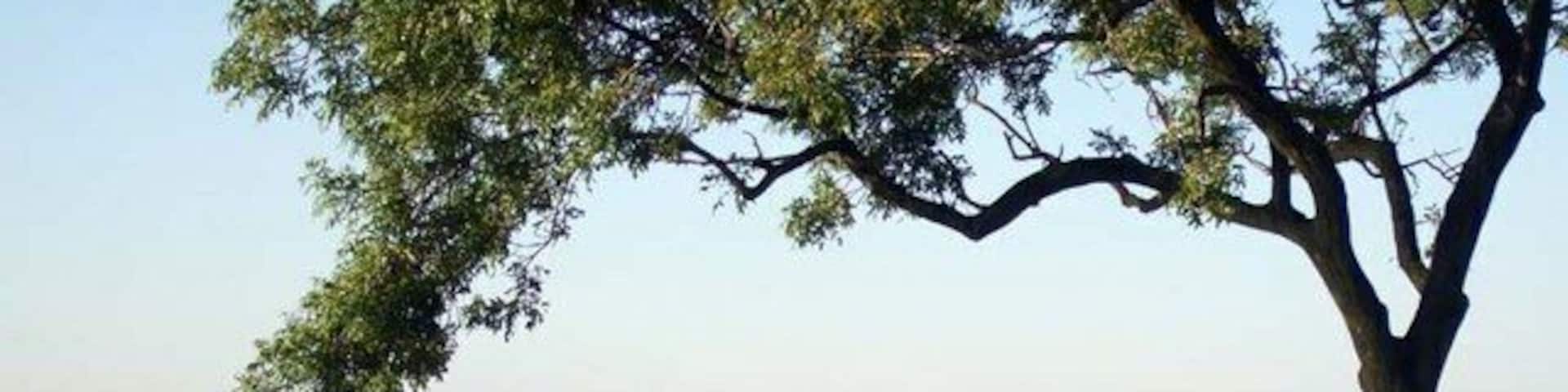 Donibristle Bay View from Dalgety Bay Sailing Club toward Forth Bridge.