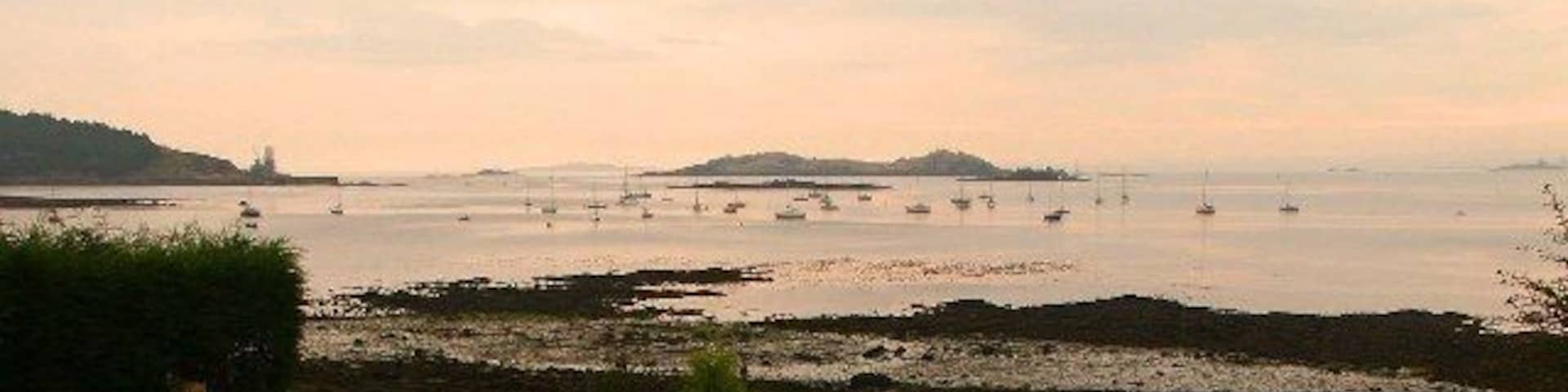 Islands of the Forth. Inchcolm from the Coastal Path, Donibristle Point, The Wynd. Long Craig and Haystack Rocks shown in front of Inchcolm. Inchmickery, far right. Braefoot Gas Terminal, far left. 8am Bigger pic? http://www.mgkscot.com/pieman/pieman's_digital_pic_of_scotland/pan/2005-08-18_003_NT-161-829-GB.jpg
