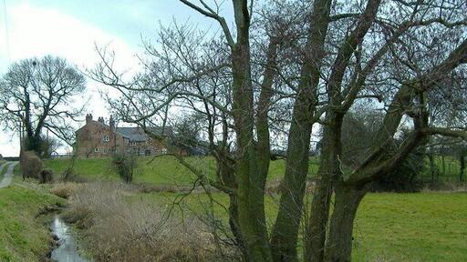 Farm near Park Hall, Barrow. Drive from Park Hall (Barrow footpath 21) bearing 30 deg towards farmhouse in middle distance (125m). The scattered trees, the small stream beside the drive and the dairy farmland are all typical of the Cheshire plain.