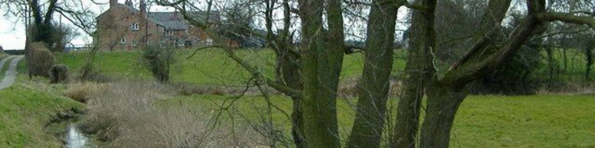 Farm near Park Hall, Barrow. Drive from Park Hall (Barrow footpath 21) bearing 30 deg towards farmhouse in middle distance (125m). The scattered trees, the small stream beside the drive and the dairy farmland are all typical of the Cheshire plain.