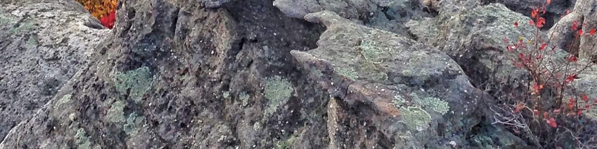 Beautiful fall colors on McCloud Mountain in Tennessee.
#Golden