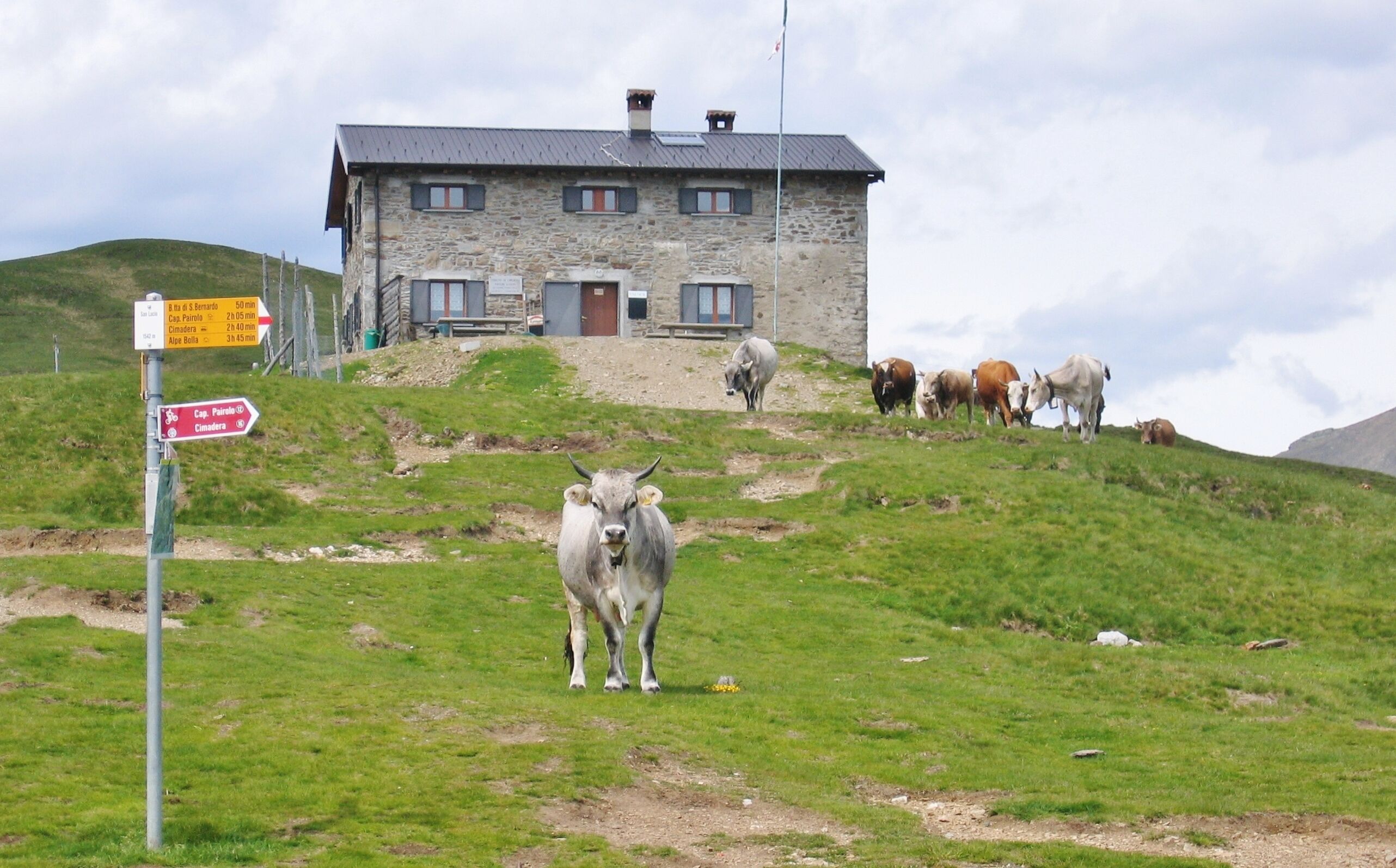 A stone building on a hillside with a signpost and grazing cows.