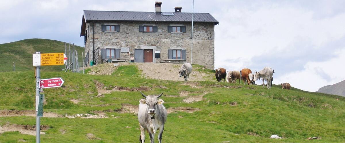 A stone building on a hillside with a signpost and grazing cows.