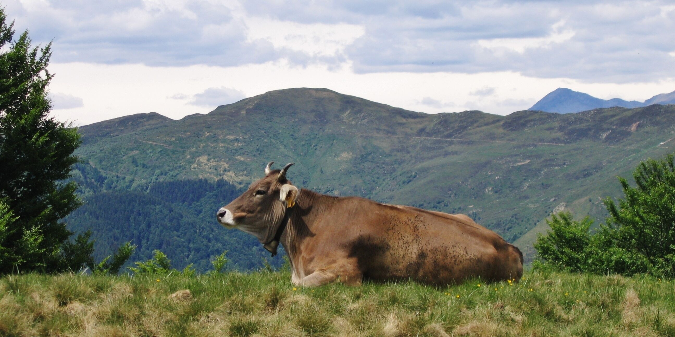 View from Capanna San Lucio