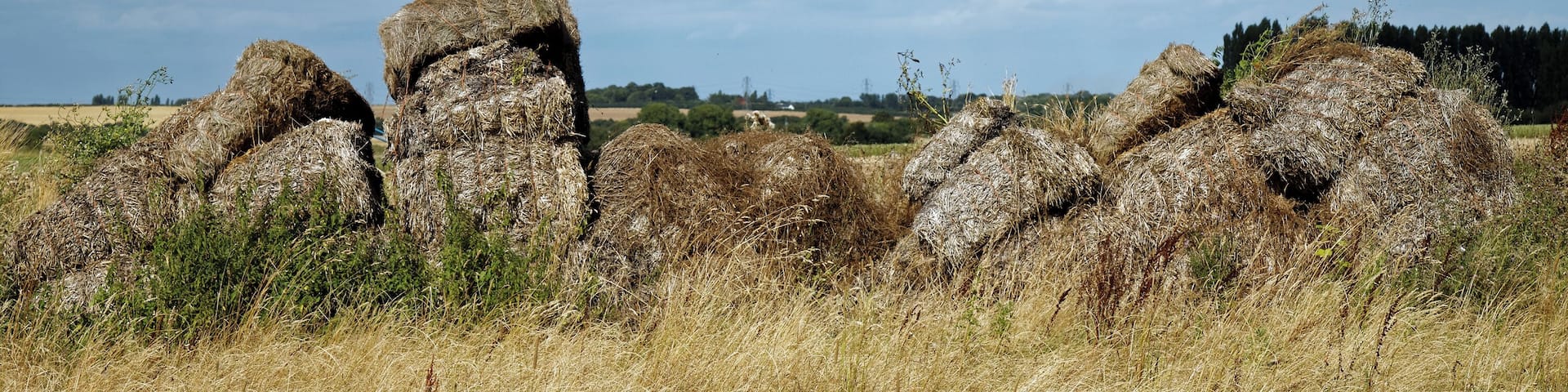 Rotting bales of straw from the Church Walk public footpath at the east of All Saints Church, West Stourmouth, in the civil parish of Stourmouth in Kent, England. Camera: Canon EOS 6D with Canon EF 24-105mm F4L IS USM lens. Software: RAW file lens-corrected, optimized, perhaps cropped, and converted to JPEG with DxO OpticsPro 11 Elite, and likely further optimized with Adobe Photoshop CS2.West Stourmouth Kent England