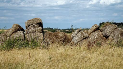 Rotting bales of straw from the Church Walk public footpath at the east of All Saints Church, West Stourmouth, in the civil parish of Stourmouth in Kent, England. Camera: Canon EOS 6D with Canon EF 24-105mm F4L IS USM lens. Software: RAW file lens-corrected, optimized, perhaps cropped, and converted to JPEG with DxO OpticsPro 11 Elite, and likely further optimized with Adobe Photoshop CS2.West Stourmouth Kent England