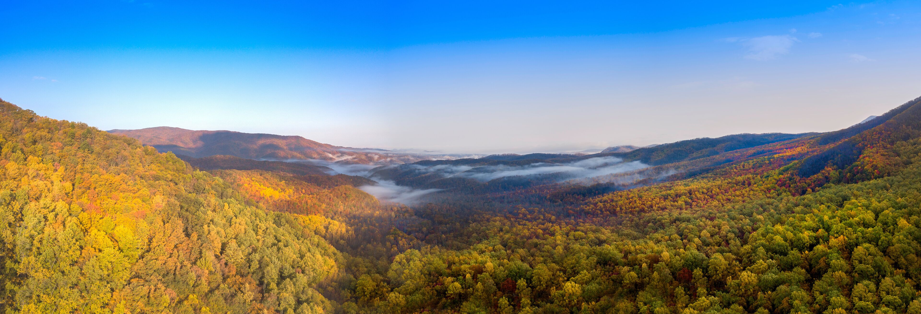 A valley with autumn foliage, a river, and distant mountains.