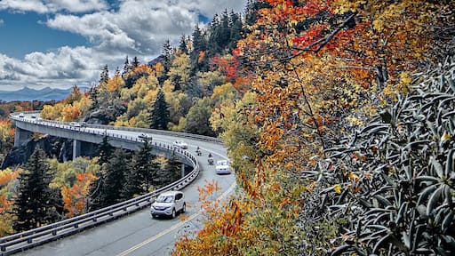 ๊ทธ๋ฆฐ๋ฐฑ