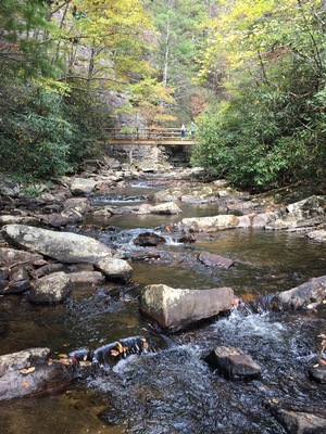 Amazing to hike