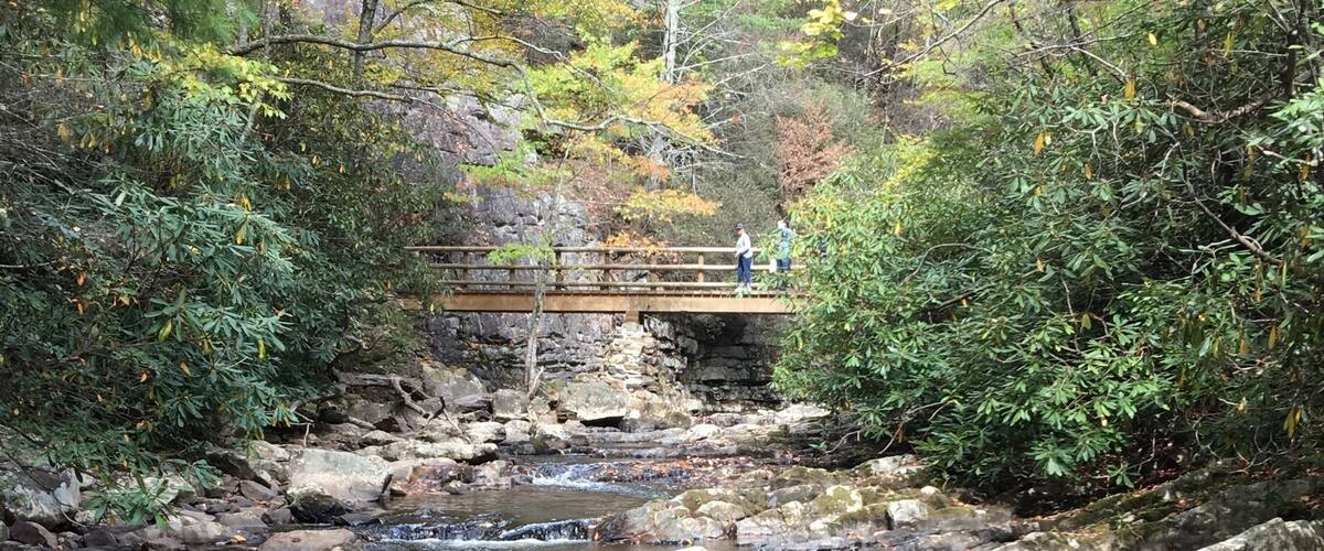 A rocky stream with a wooden bridge and autumn foliage.