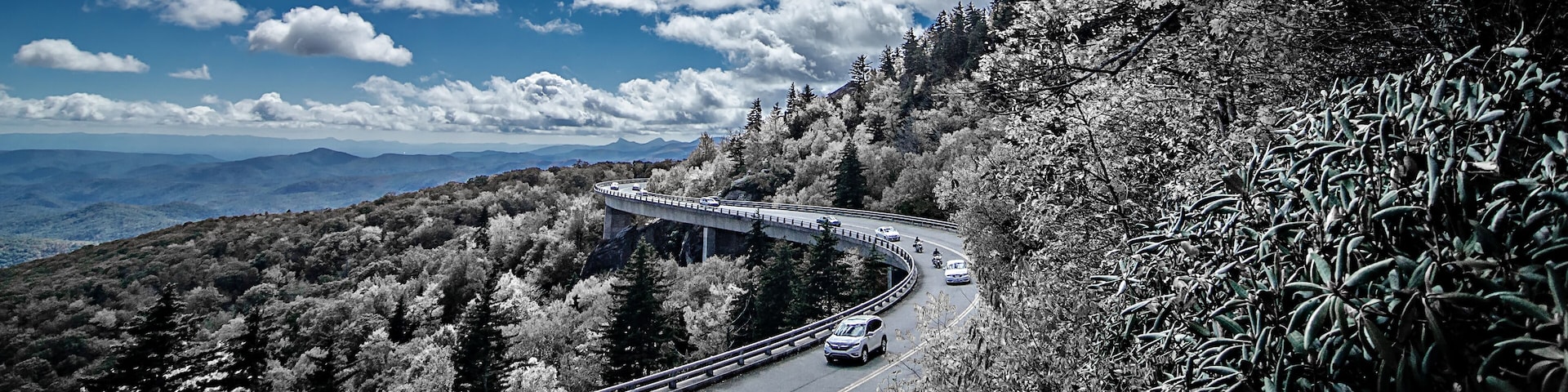 nature scenes on blue ridge parkway great smoky mountains