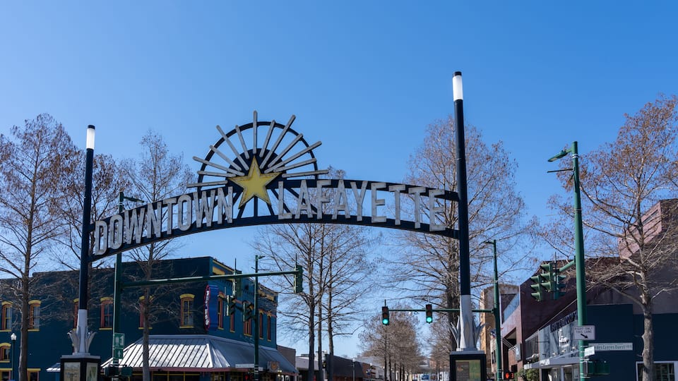 A street sign with a star and a Ferris wheel, surrounded by buildings and trees.