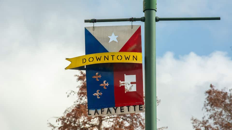 A flag with a blue, red, and white design, a yellow ribbon, and the words "DOWNTOWN LAFAYETTE" on a pole.
