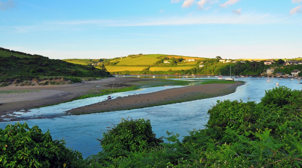 The estuary of the River Avon, Devon, UK at low tide. The sandbanks near Bantham are visible.