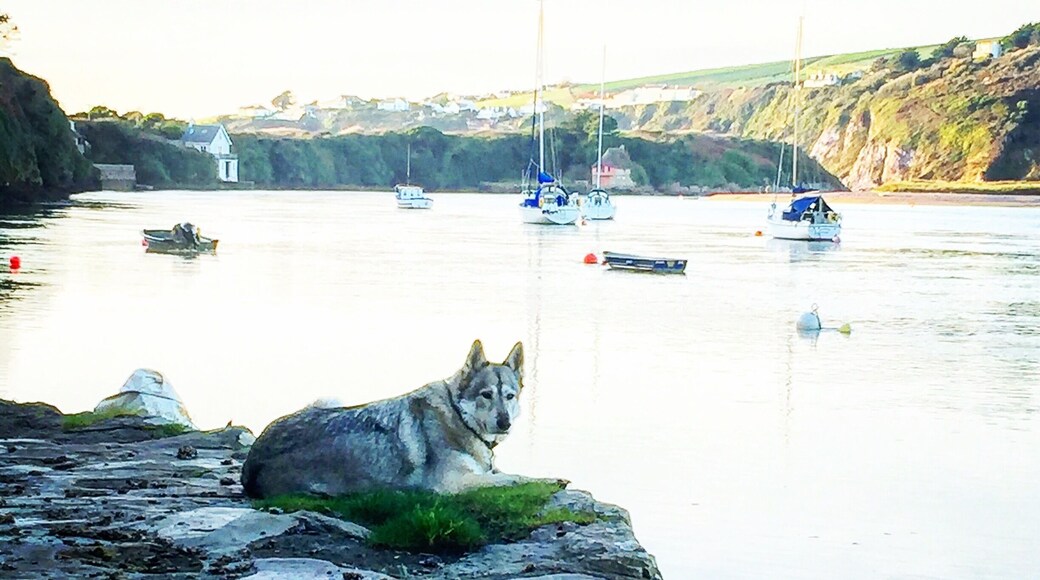 Another shot taken at Bantham Quay looking towards the exit to the sea