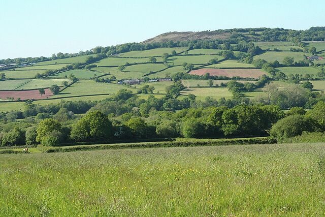 Culmstock: towards Culmstock Beacon. Looking north from Owleycombe Common with Pitt Farm across the valley