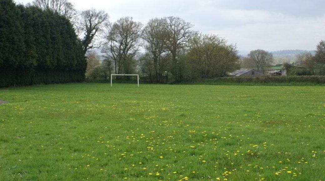 Football Field Culmstock.