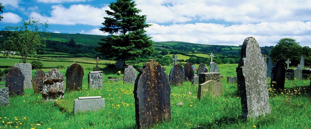 A rural cemetery with stone headstones, a large tree, and rolling hills in the background.