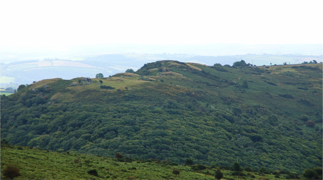 Bench Tor from the eastern side of the River Dart Dartmoor.