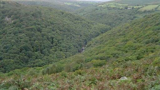 River Dart valley from Dr Blackall's Drive. View looking north-west from Dr Blackall's Drive (part of the Two Moors Way) over the deeply incised, wooded, river valley of the Dart. The slopes of Mel Tor are to the right and those of Bench Tor to the left.