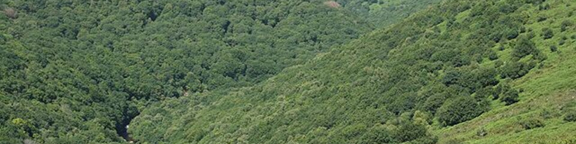 Un valle verde exuberante con colinas onduladas y un río que lo atraviesa.