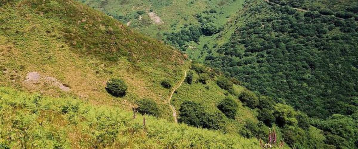 Trentishoe: overlooking Heddon's Mouth Cleave. The South West Coast Path is just visible on both sides of the valley. The higher path on the hills opposite leads to Woody Bay