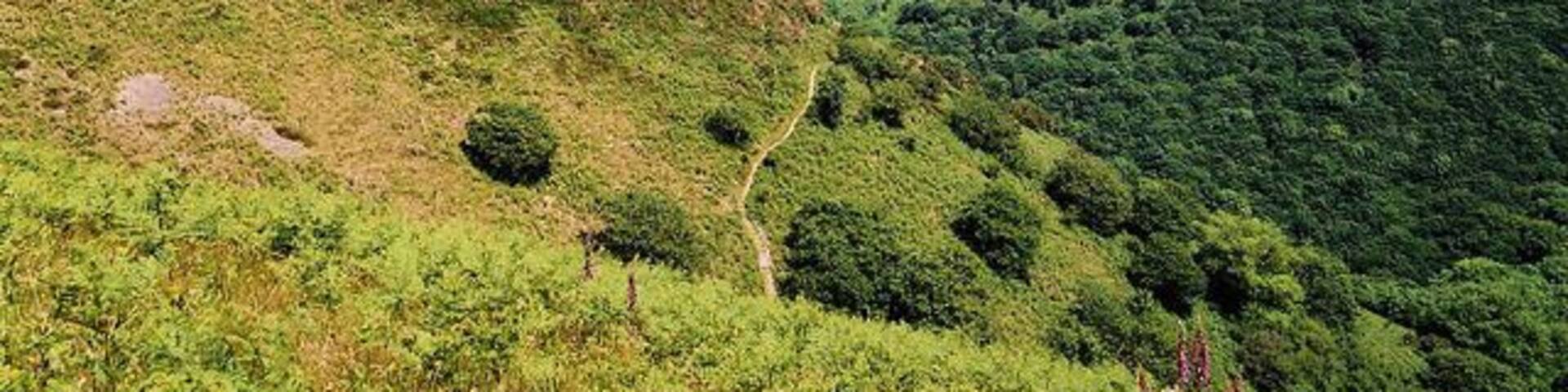 Trentishoe: overlooking Heddon's Mouth Cleave. The South West Coast Path is just visible on both sides of the valley. The higher path on the hills opposite leads to Woody Bay
