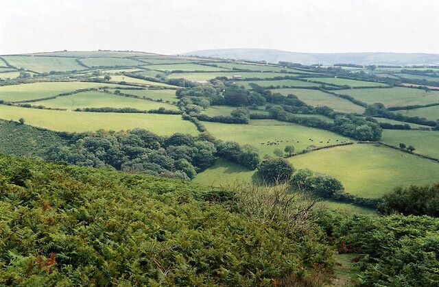 Trentishoe: Heale Down from Trentishoe Down. On a path on National Trust land above Trentishoe Manor, looking south east. Parracombe is hidden behind Heale Down. The high ground on the skyline is Challacombe Common