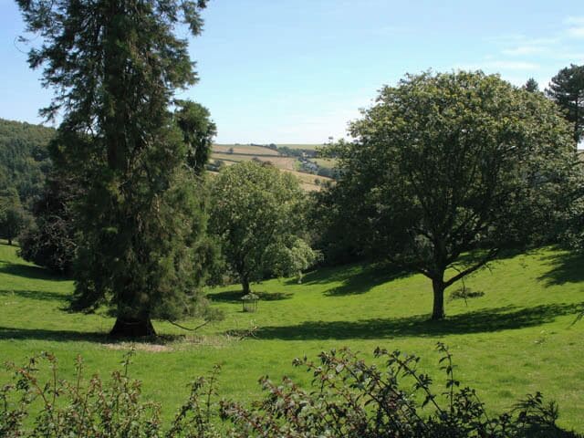 Parkland at Buckland-Tout-Saints Oxen Wood on the left horizon and the hills above Malston Mill in the distance.
