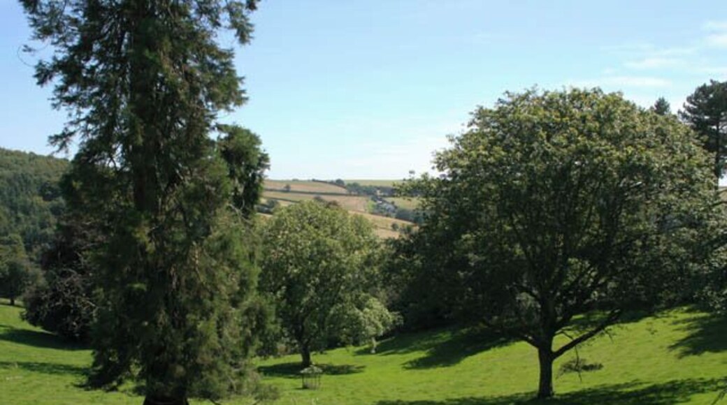 Parkland at Buckland-Tout-Saints Oxen Wood on the left horizon and the hills above Malston Mill in the distance.