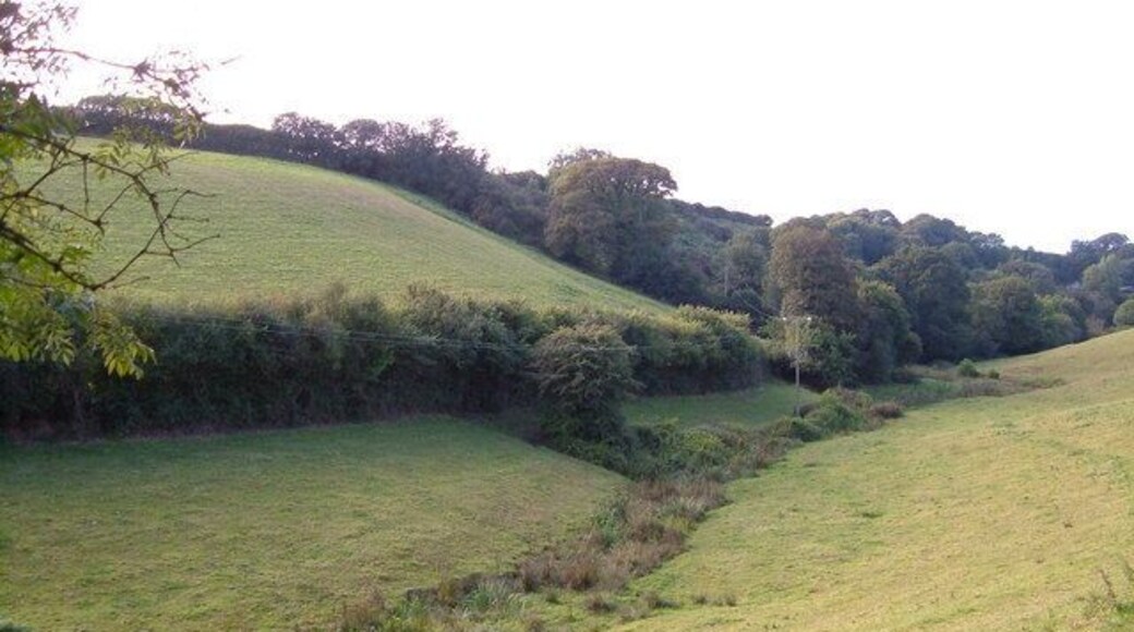 View near Luke's Addlehole. An upper section of the Washbrook valley 226477, seen from the lane between Addlehole Fork and Blackridge Cross.