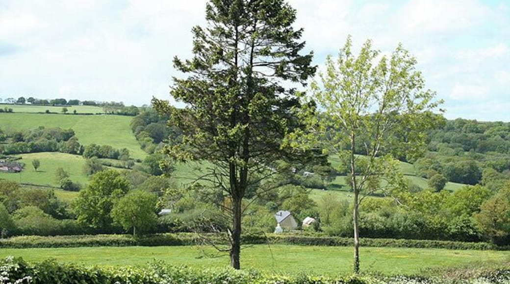Dunkeswell: Madford valley. Looking west-north-west from an entrance to Abbotsford Farm. The Dunkeswell Abbey site lies a little upstream to the left of shot