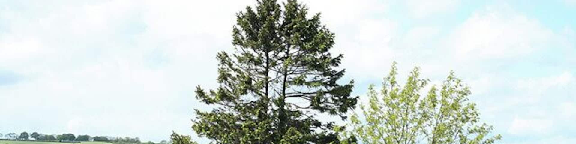 Dunkeswell: Madford valley. Looking west-north-west from an entrance to Abbotsford Farm. The Dunkeswell Abbey site lies a little upstream to the left of shot