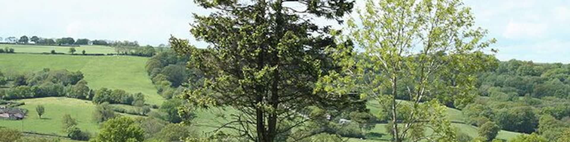 Dunkeswell: Madford valley. Looking west-north-west from an entrance to Abbotsford Farm. The Dunkeswell Abbey site lies a little upstream to the left of shot