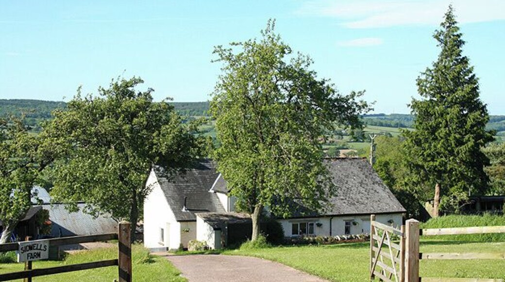 Hemyock: Sidwells Farm. Looking north