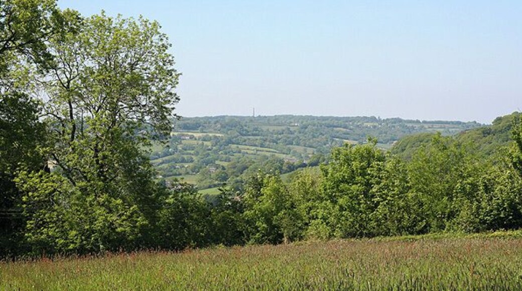 Hemyock: near Crockers Farm. Looking north-north-west over the Culm valley to the Wellington Monument, just visible on the skyline