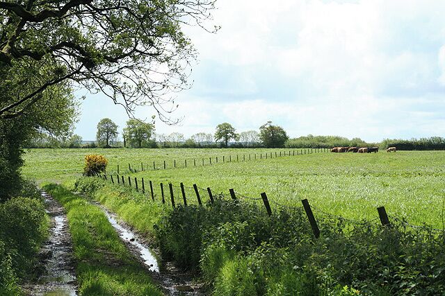 Dunkeswell: on Madford Hill. Looking south west. Typical landscape on the Blackdown Hills