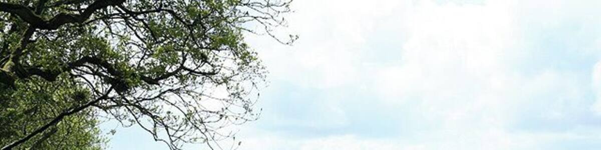 Dunkeswell: on Madford Hill. Looking south west. Typical landscape on the Blackdown Hills