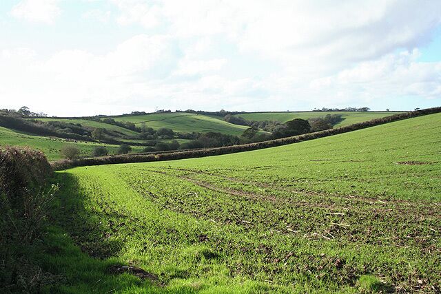Romansleigh: near Three Corner Cross Looking west-south-west towards Lower Kingstree Moor