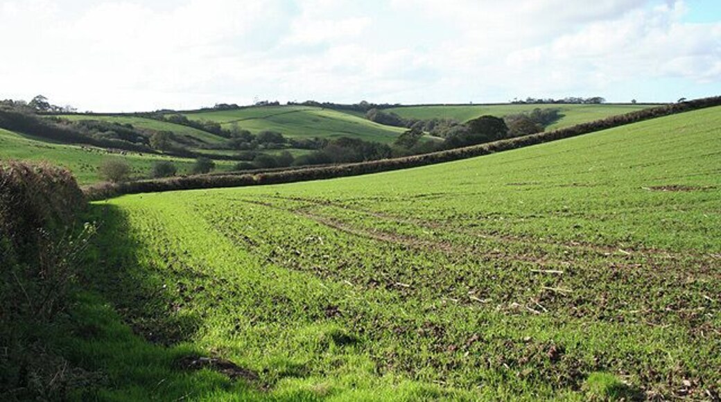 Romansleigh: near Three Corner Cross Looking west-south-west towards Lower Kingstree Moor