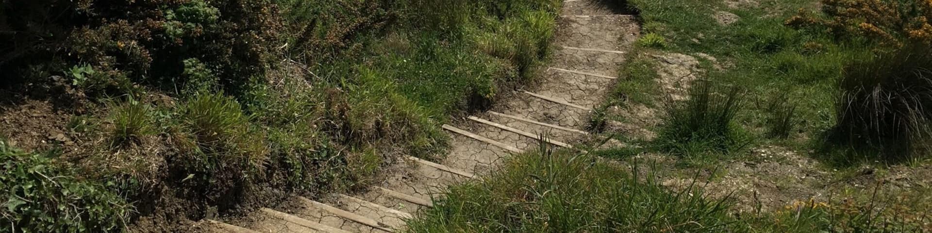 Found this cute little entrance to another stunning stretch of the Jurassic coast by accident... after a very long down hill hike, past fields and farms.
Quite steep.