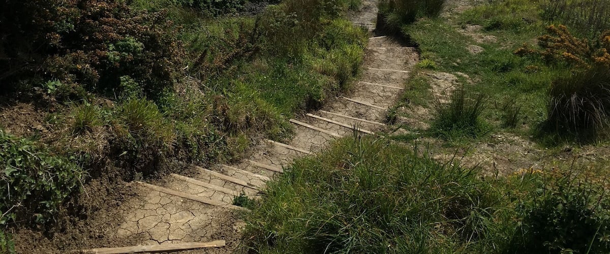 A coastal path leading to a beach with people walking.