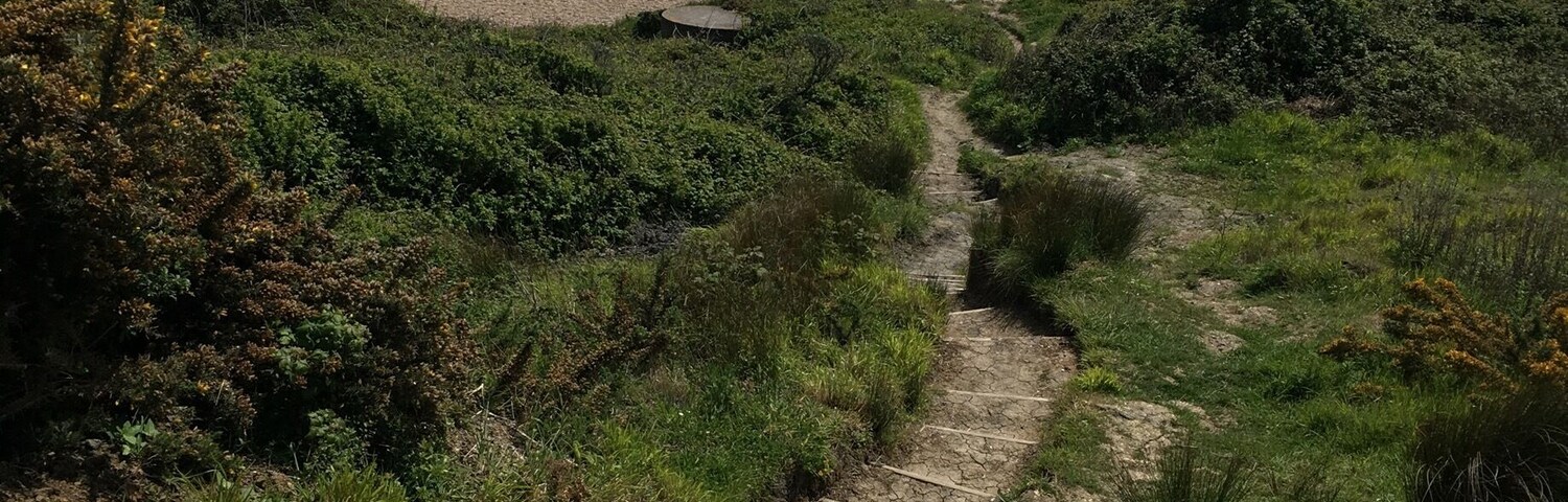 A coastal path leading to a beach with people walking.