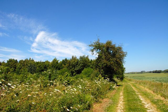 Jack's Furze A farm track leads past Jack's Furze. Looking North.