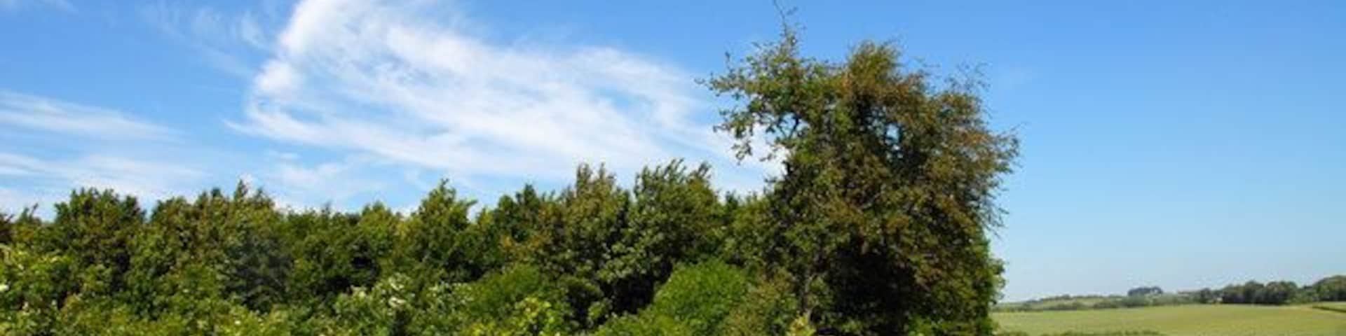 Jack's Furze A farm track leads past Jack's Furze. Looking North.